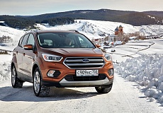 Ford выяснил, снег или листья представляют большую опасность на дороге